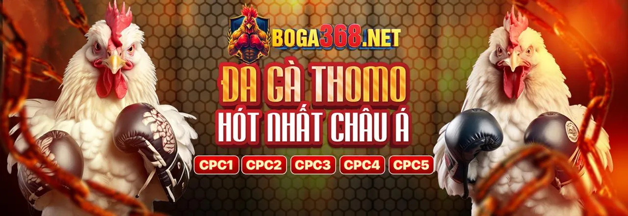 Hình ảnh trường gà Thomo nổi tiếng, nơi diễn ra các trận đá gà trực tiếp kịch tính tại iwin68 club