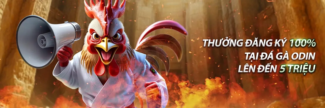 Hình ảnh gà đá cựa sắt sắc bén, biểu tượng của sự kịch tính trong đá gà tại iwin68 club